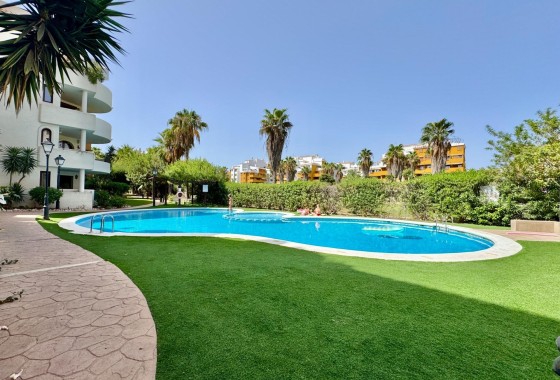 Herverkoop - Appartement / Flat -
Torrevieja - Punta Prima