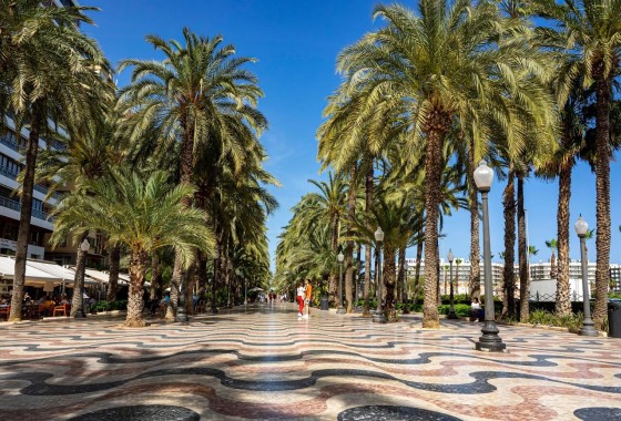 Herverkoop - Appartement / Flat -
Alicante - Alicante (Alacant)