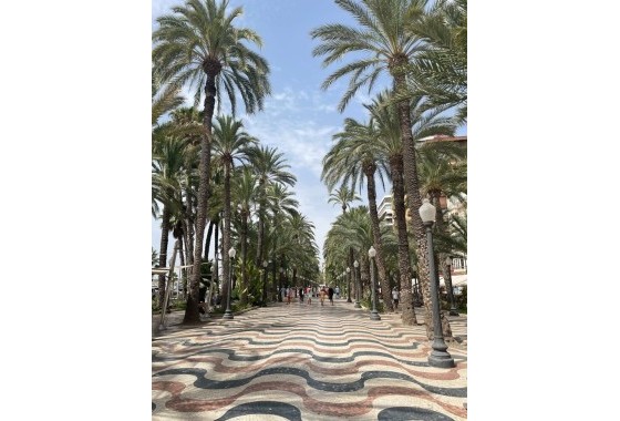 Herverkoop - Appartement / Flat -
Alicante - Alicante (Alacant)