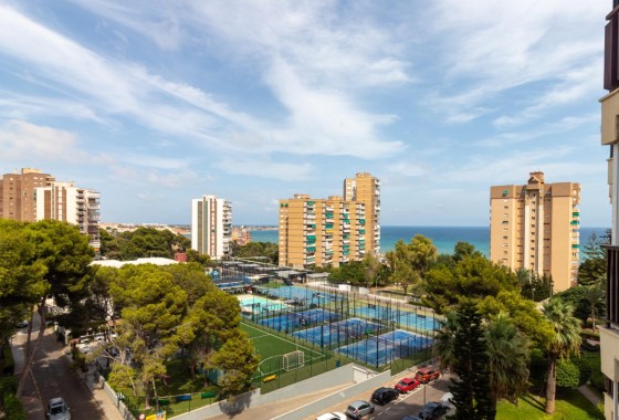 Wiederverkauf - Wohnung / Apartment -
Orihuela Costa - Campoamor