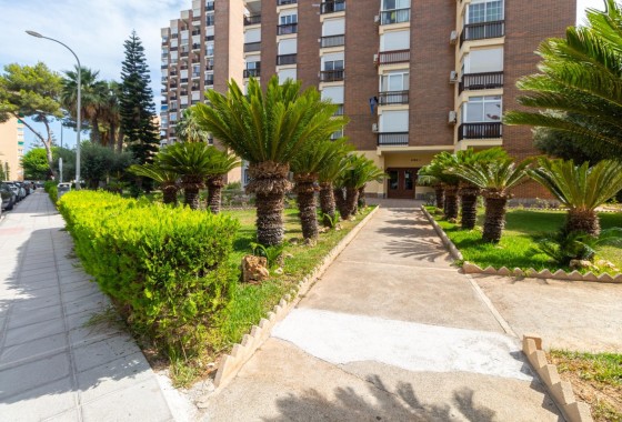 Wiederverkauf - Wohnung / Apartment -
Orihuela Costa - Campoamor