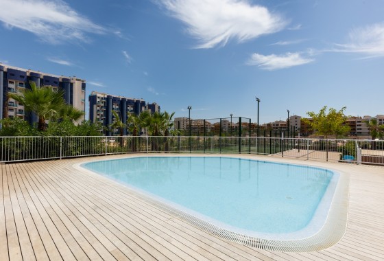 Venta - Apartamento / Piso -
Torrevieja