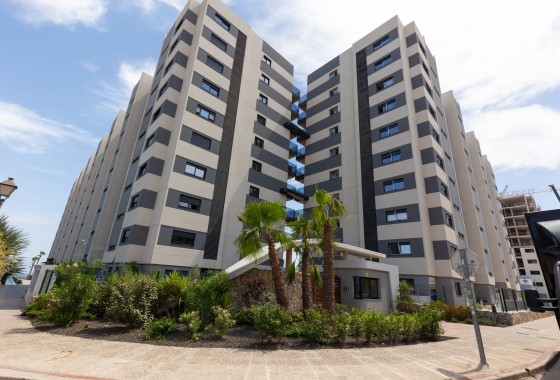 Herverkoop - Appartement / Flat -
Torrevieja - Punta Prima