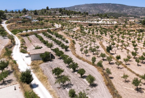 Sprzedaż - Finca / Dom wiejski -
Pinoso