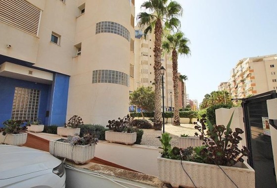 Wiederverkauf - Wohnung / Apartment -
Guardamar del Segura - Avenida del Puerto