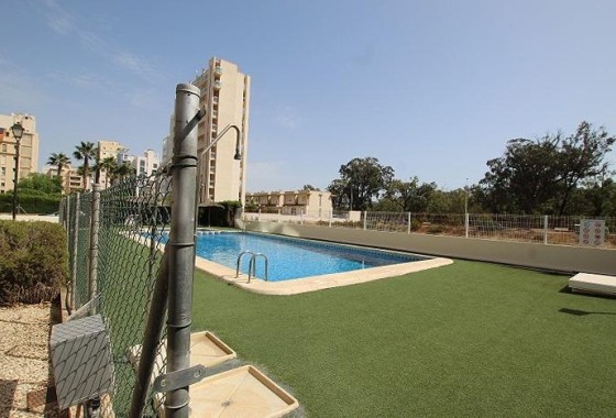 Wiederverkauf - Wohnung / Apartment -
Guardamar del Segura - Avenida del Puerto