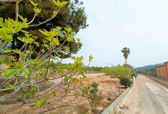 Resale - Detached Villa -
Hondón de los Fráiles