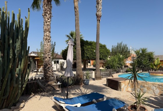 Herverkoop - Finca / Landhuis -
La Marina - Elche