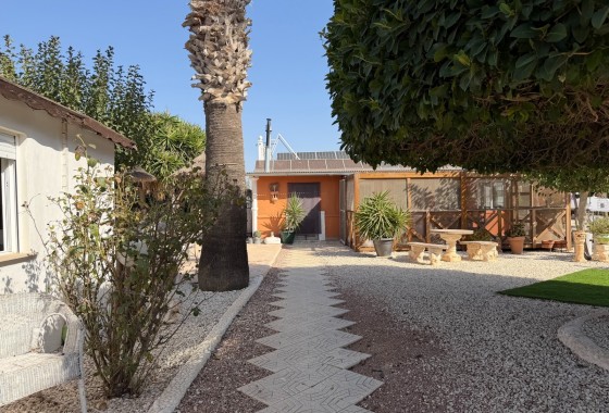 Herverkoop - Finca / Landhuis -
La Marina - Elche