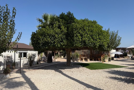 Herverkoop - Finca / Landhuis -
La Marina - Elche
