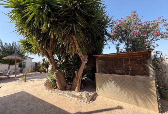 Herverkoop - Finca / Landhuis -
La Marina - Elche