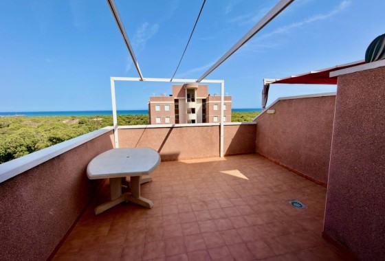 Venta - Apartamento / Piso -
Guardamar del Segura