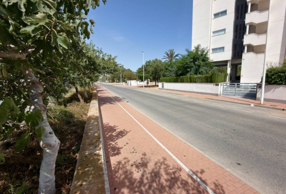 Venta - Apartamento / Piso -
Guardamar del Segura