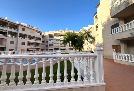 Herverkoop - Appartement / Flat -
Torrevieja - Playa de los Locos
