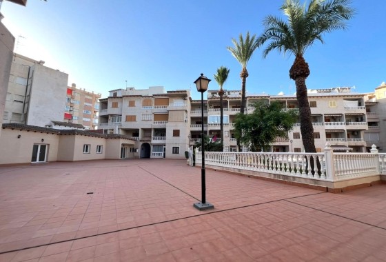 Herverkoop - Appartement / Flat -
Torrevieja - Playa de los Locos