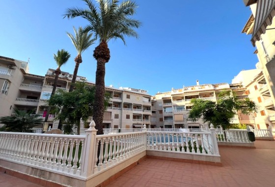 Herverkoop - Appartement / Flat -
Torrevieja - Playa de los Locos