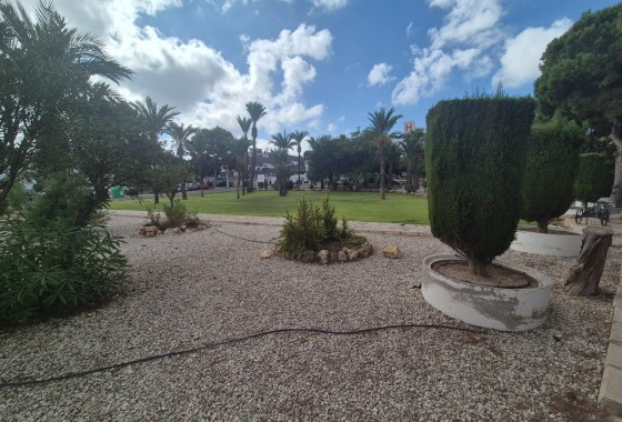 Herverkoop - Appartement / Flat -
Torrevieja - Lago jardin