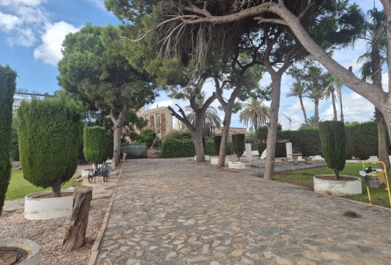 Herverkoop - Appartement / Flat -
Torrevieja - Lago jardin