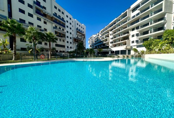 Herverkoop - Appartement / Flat -
Dehesa de Campoamor - Campoamor