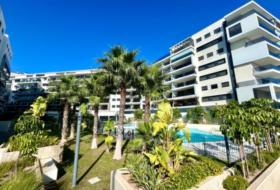 Herverkoop - Appartement / Flat -
Dehesa de Campoamor - Campoamor