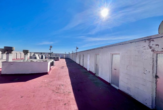 Herverkoop - Appartement / Flat -
Torrevieja - Punta Prima