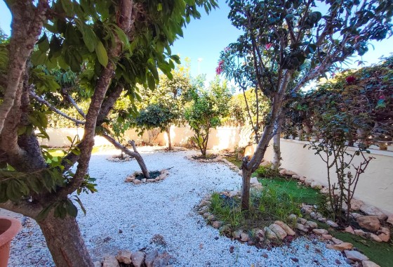 Resale - Apartment / Flat -
Cabo Roig