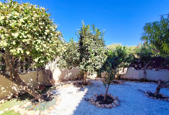Resale - Apartment / Flat -
Cabo Roig