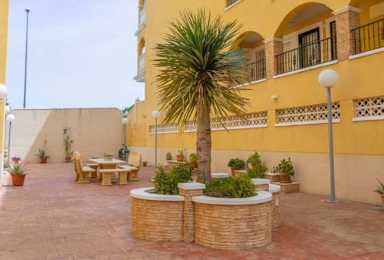 Herverkoop - Appartement / Flat -
Algorfa