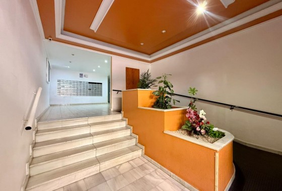 Herverkoop - Appartement / Flat -
Torrevieja - Playa de los Locos