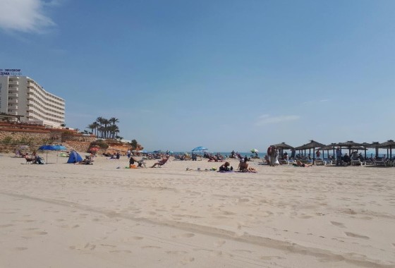 Revente - Appartement -
Orihuela Costa