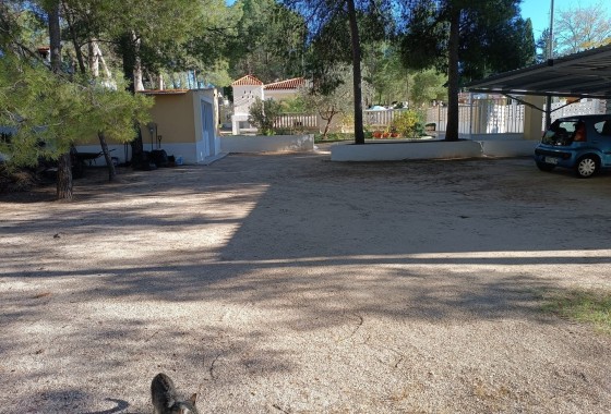 Revente - Villa Individuelle -
Yecla