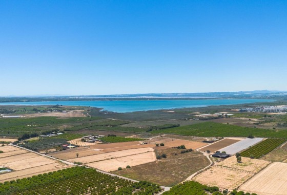 Revente - Appartement -
Guardamar del Segura - El Moncayo