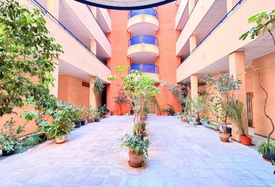 Herverkoop - Appartement / Flat -
Torrevieja - Acequion