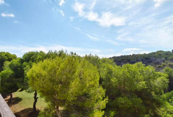 Resale - Apartment / Flat -
Orihuela Costa - Las Ramblas Golf