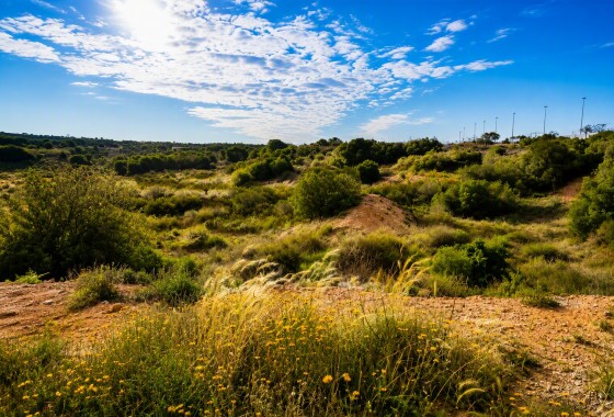 Resale - Detached Villa -
Gran Alacant
