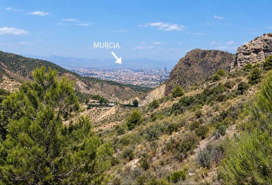 Venta - Finca / Casa de campo -
Gea y Truyols