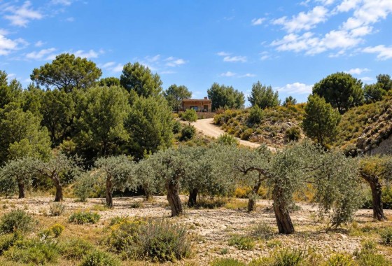 Venta - Finca / Casa de campo -
Gea y Truyols