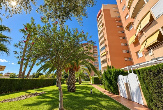 Herverkoop -  -
Orihuela Costa - Campoamor