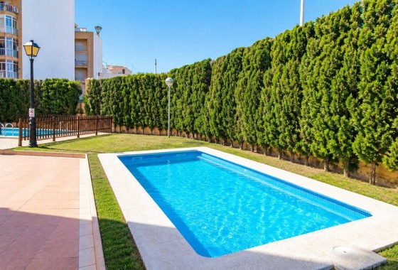 Sprzedaż - Apartament / Mieszkanie -
Torrevieja - Playa de los Locos