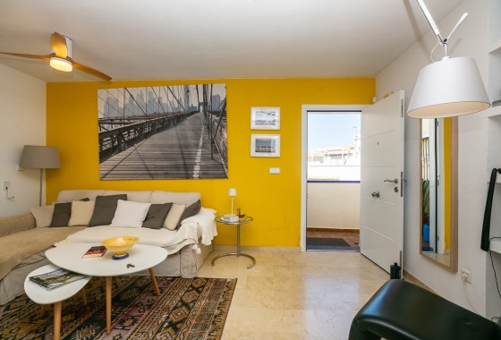 Resale - Apartment / Flat -
Playa Flamenca