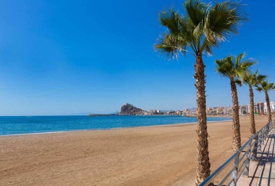 Nouvelle construction - Appartement -
Águilas
