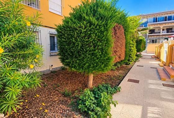 Sprzedaż - Apartament / Mieszkanie -
Torrevieja - La Veleta