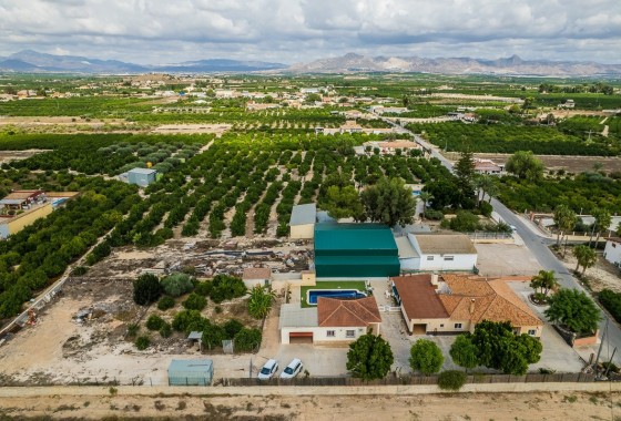 Sprzedaż - Willa wolnostojąca -
Orihuela - La Matanza