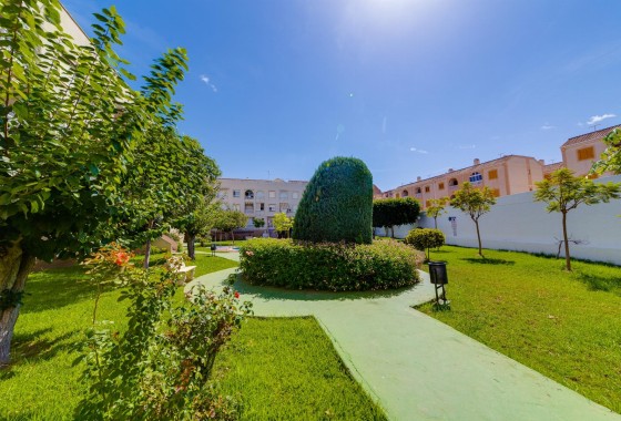 Herverkoop - Appartement / Flat -
Torrevieja - Acequion