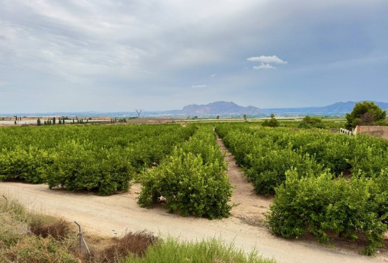 Revente - Finca / Propriété rurale -
La Murada
