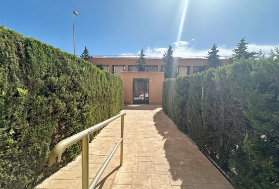 Venta -  -
Torrevieja
