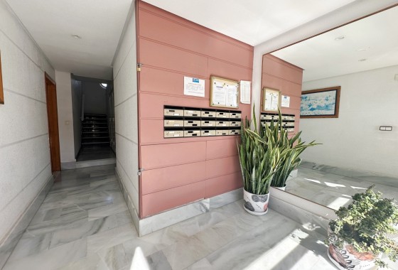 Venta -  -
Torrevieja