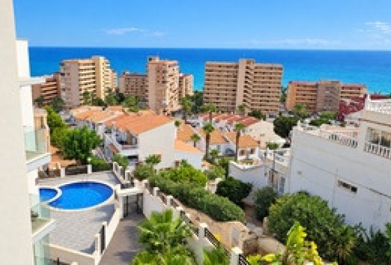 Sprzedaż - Apartament / Mieszkanie -
La Mata