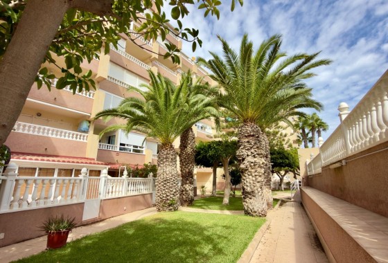 Venta - Apartamento / Piso -
Guardamar del Segura - Urbanizaciones