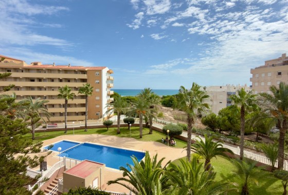 Venta - Apartamento / Piso -
Guardamar del Segura - Urbanizaciones